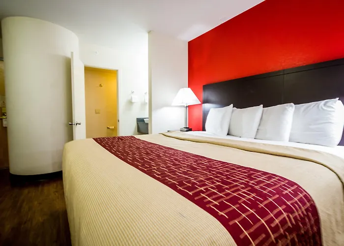 Motel Red Roof Austin -
