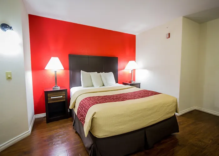 Red Roof Austin - Motel